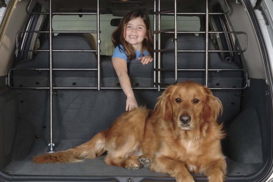 Sound Barrier: Promoting Better Transportation with Kids and Pets